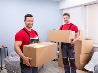 Movers Packer in Al warqa Dubai